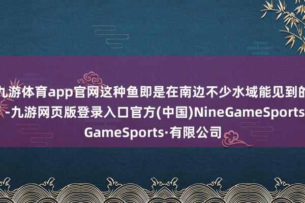 九游体育app官网这种鱼即是在南边不少水域能见到的“笋壳鱼”-九游网页版登录入口官方(中国)NineGameSports·有限公司