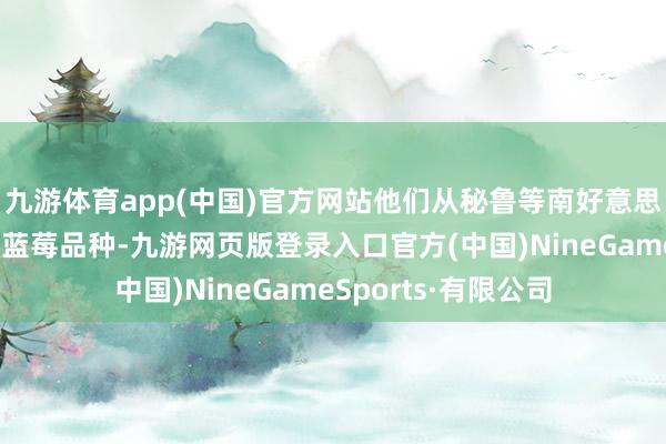 九游体育app(中国)官方网站他们从秘鲁等南好意思国度引进一些新的蓝莓品种-九游网页版登录入口官方(中国)NineGameSports·有限公司